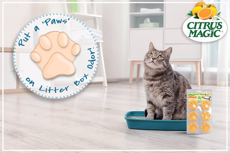 Citrus Magic Pet Odor Eliminator Litter Paws, Ocean Breeze, 6-Count - Image 3